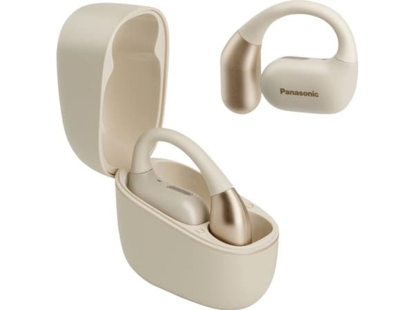 Panasonic hörlurar RB-F10DE-C