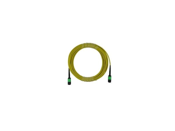 BlueOptics SFP5252BU2MMB, 2 m, MPO, MPO