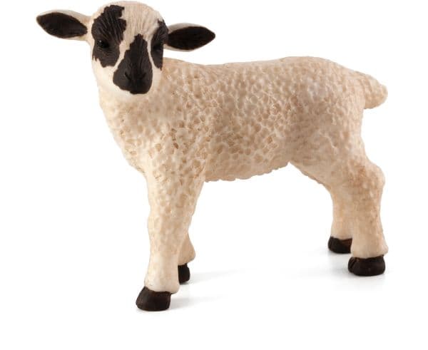 Mojo Lamb mustapää, seisten