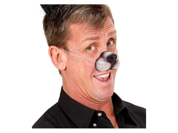 Kattnos