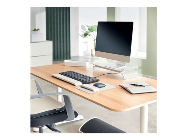 Leitz Ergo - Monitorställ - adjustable - grå