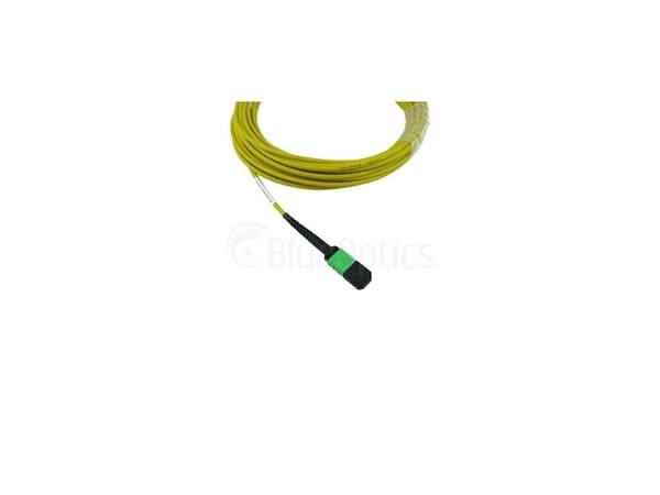 BlueOptics SFP5252BU2MMB, 2 m, MPO, MPO