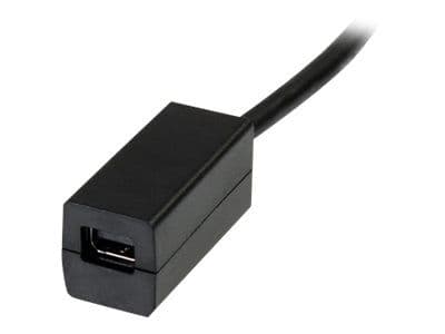 StarTech.com 6in DisplayPort to Mini DisplayPort Video Cable Adapter (DP2MDPMF6IN) - DisplayPort-sovitin - DisplayPort (han) til Mini DisplayPort (...