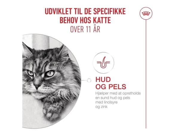 Royal Canin Ageing 11+ tørfoder til kat - 400 g