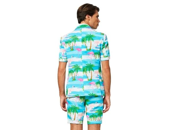 Sommar OppoSuit Flaminguy
