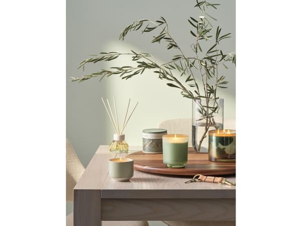 ILLUME Hinoki Sage statement glas doftljus, grön
