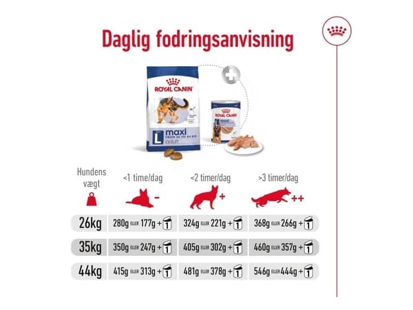 Royal Canin Maxi Adult torrfoder för hundar – 10 kg