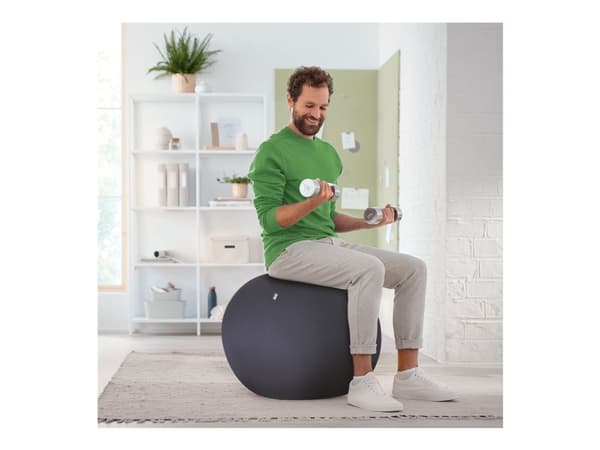Leitz Ergo Active - Bollstol - ergonomisk - tygklädsel - mörkgrå