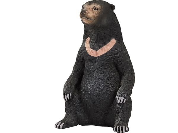 Mojo Sol Bjørn