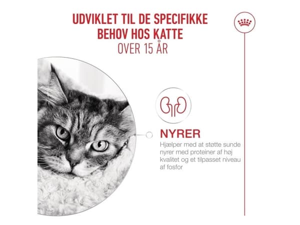 Royal Canin Ageing 15+ tørfoder til kat - 400 g