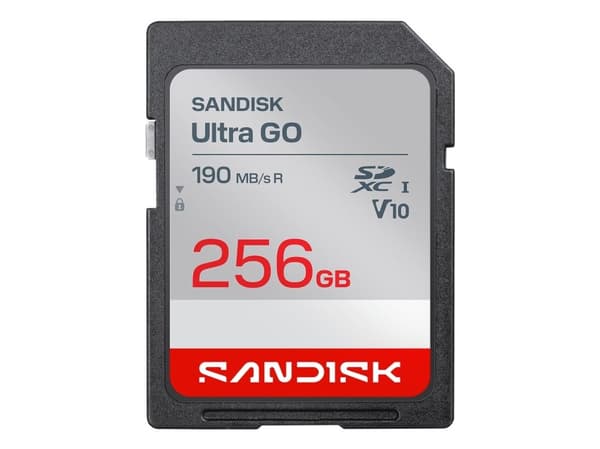 SANDISK SD Ultra GO 256GB
