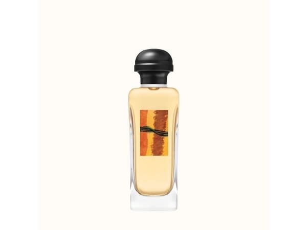 Hermès Rocabar Eau De Toilette 100 ml (man)