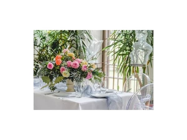 Hopea glitter organza