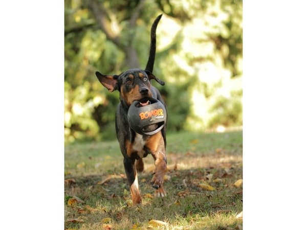 Zeus Pålka ZS Xtreme Bomber, mini, 11,5 cm