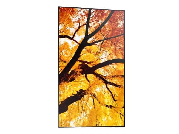 Sharp MultiSync PN-M982, Interaktiv plattskärm, 2,48 m (97.5"), LED, 3840 x 2160 pixlar, 24/7