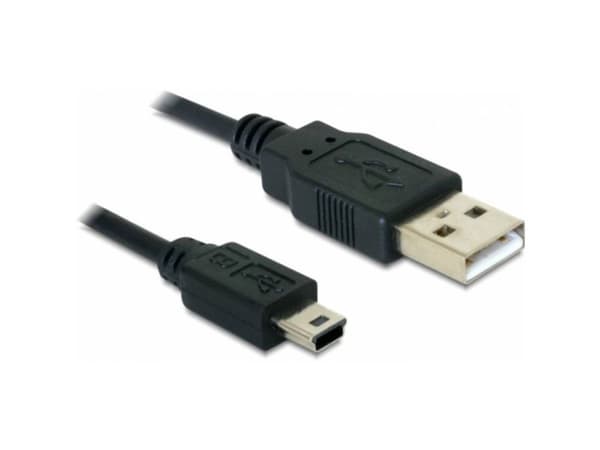 Delock - USB-kabel - USB (hane) till mini-USB typ B (hane) - 1 m