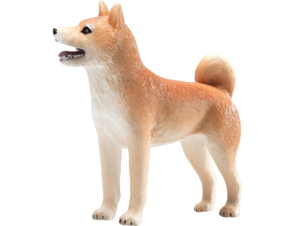 Mojo Shiba koira