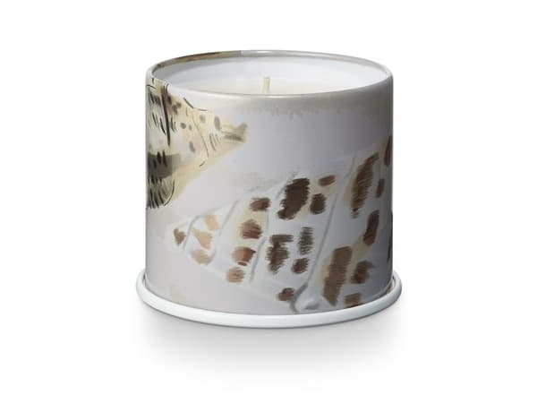 ILLUME Driftwood vanity tin doftljus vit