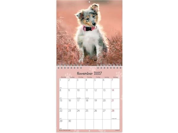 Väggkalender mini Hundvalpar 2027