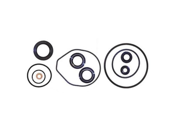 Sierra Lower Unit Seal Kit