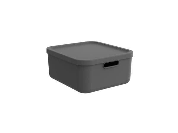 Rotho BOX20L albula antrasitt