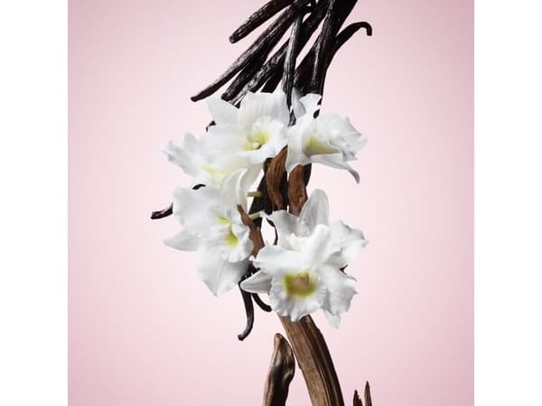 Viktor&Rolf Flowerbomb Eau De Parfum Spray 30ml