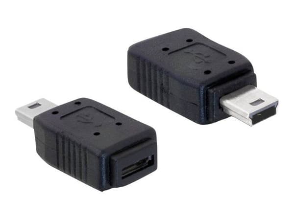 Delock - USB-adapter - mini-USB type B (hann) til Micro-USB type B (hunn) - svart