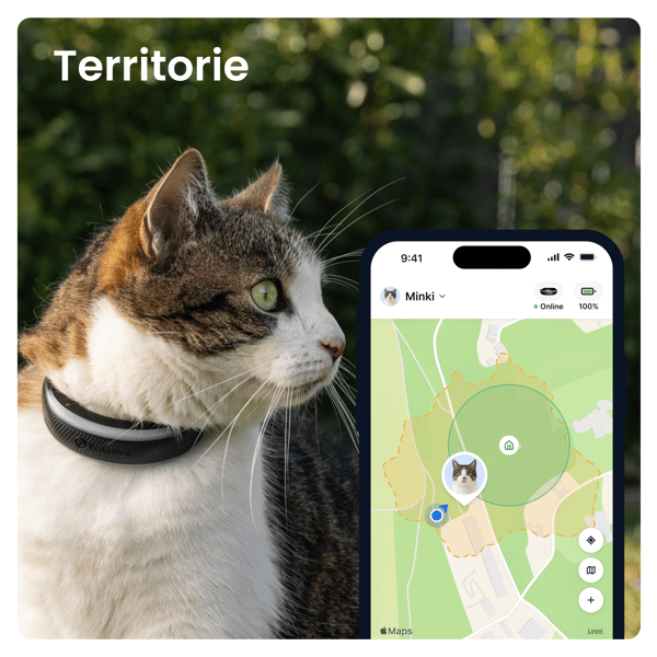 Tractive CAT 6 Mini - Black
