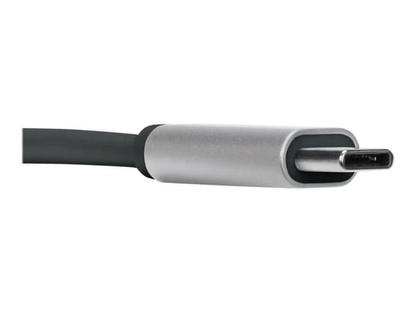 Targus - Video adapter - USB-C hann til HDMI hunn - sølv - 4K-støtte