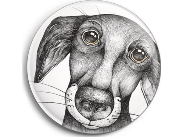 Jürgen the Dog-magnet