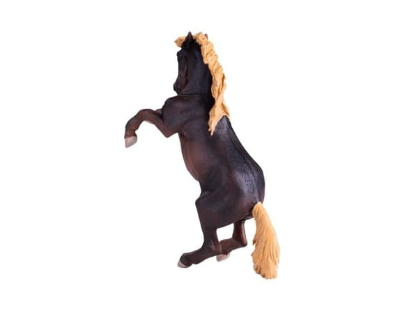 Mojo Brumby tamma