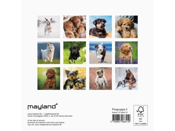 Väggkalender mini Hundvalpar 2027