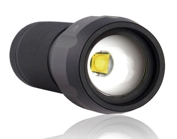 EverActive FL-300+