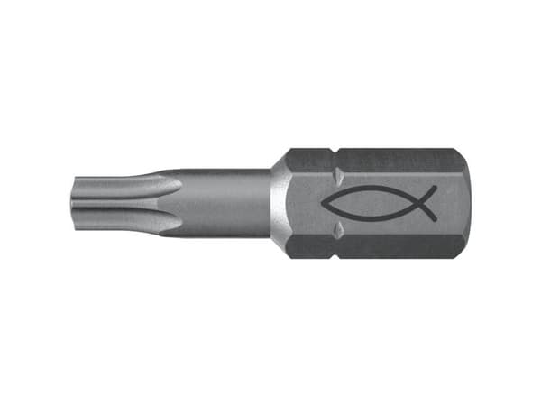 Fischer 557850, 10 stykker, Torx