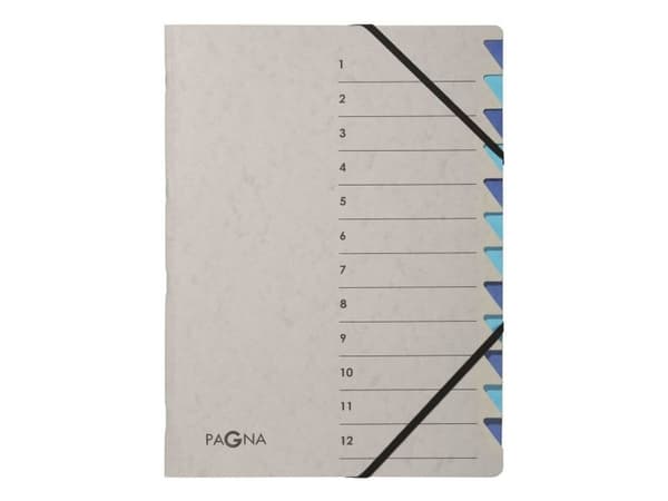 PAGNA Organiser DIN A4 12-rom grå