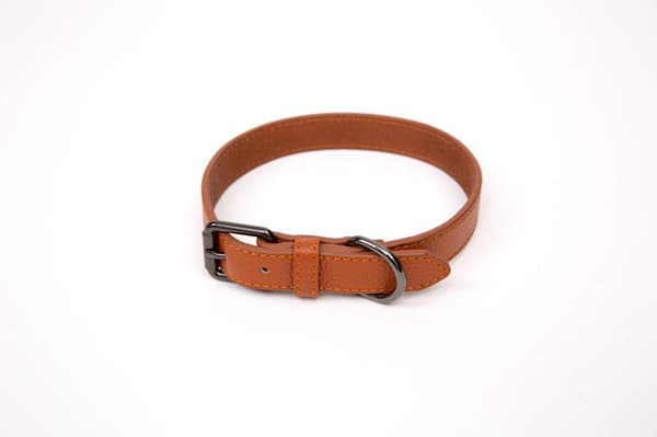 Paw Love hundhalsband i läder (medium) cognac
