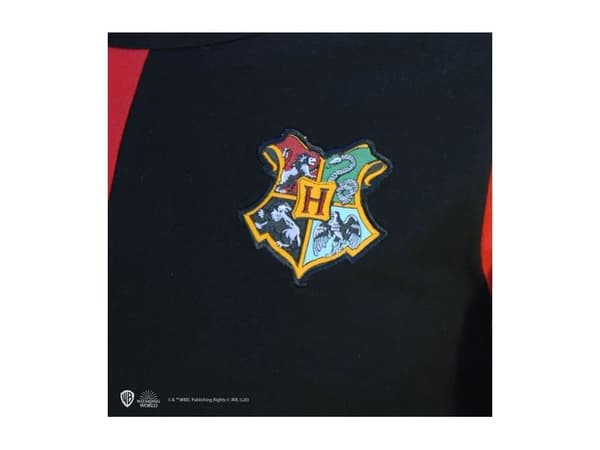 Triwizard t-shirt Harry Potter