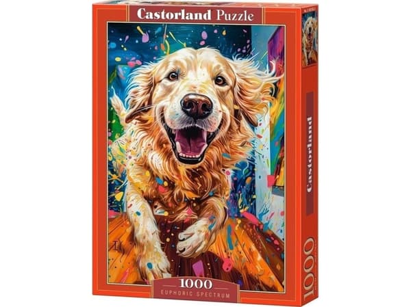 Puslespill 1000 brikker Euphoric Spectrum CASTOR