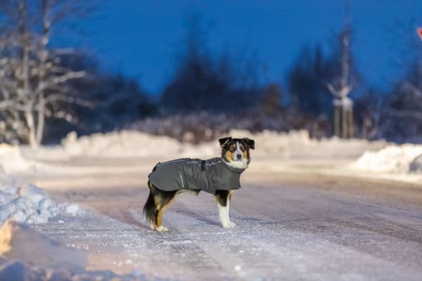 Limoux hundedekketøy grå M: 50 cm