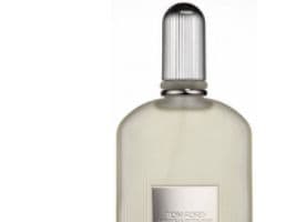 Tom Ford Grey Vetiver Eau De Parfum spray 100 ml