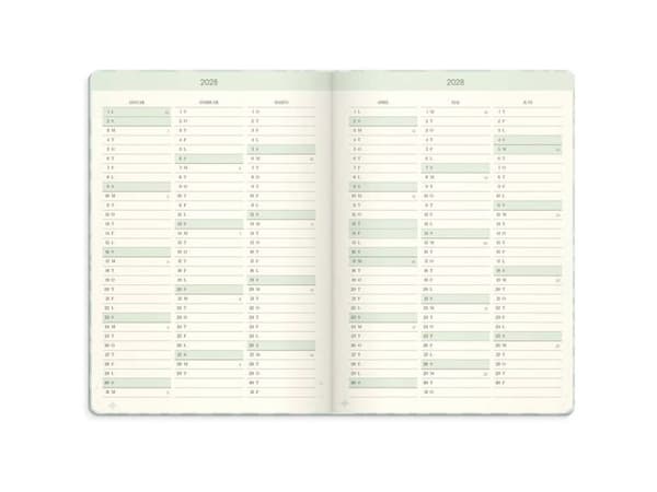 Life Planner Dream & Do 2027