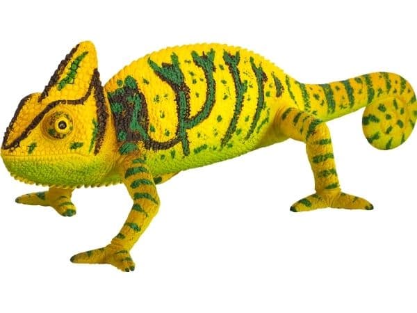 Mojo Chameleon