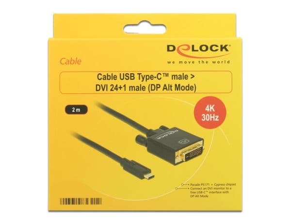Delock - Extern videoadapter - Parade PS171 - USB-C - DVI - svart - detaljhandel