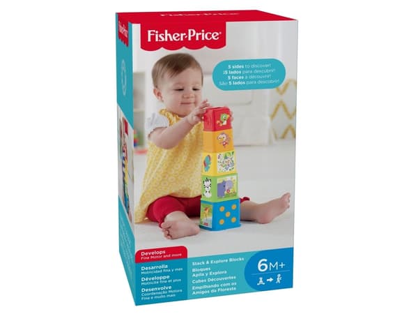 Fisher Price Stack & Explore Blocks
