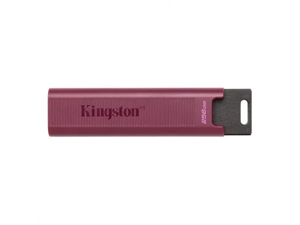 Kingston DataTraveler Max - USB flash-enhet - 1 TB - USB 3.2 Gen 2