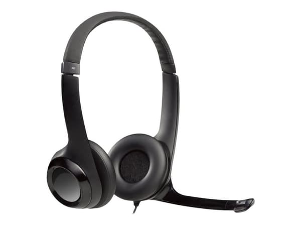 Logitech H390 - Headset - på örat - kabel - USB - Svart
