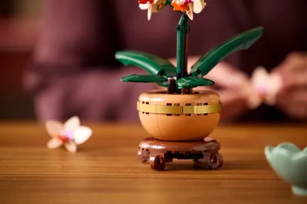 LEGO Botanicals 10343 Miniorkidea