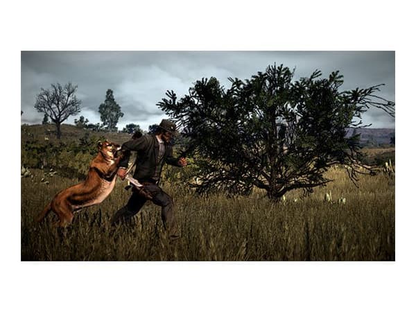 Red Dead Redemption 2 - PlayStation 4
