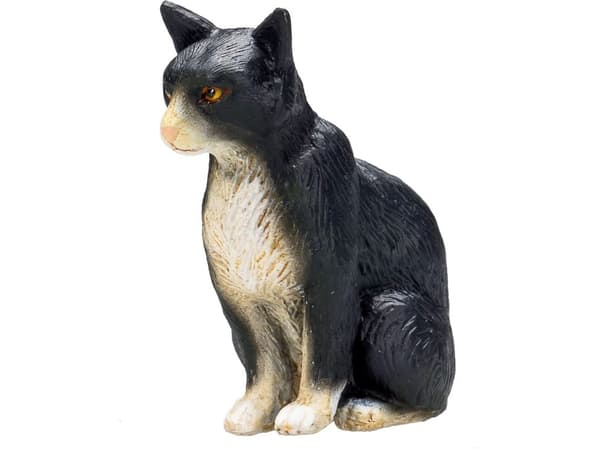 Mojo Kat, Siddende/Broget