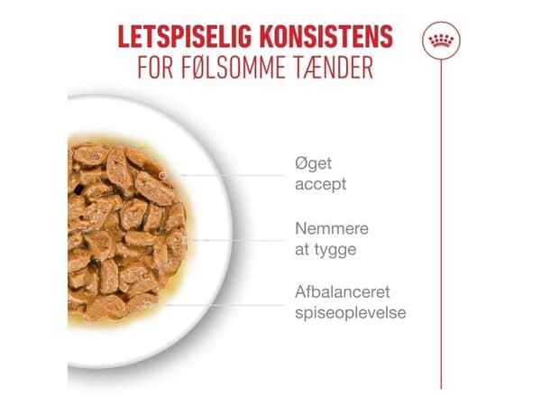 Royal Canin Ageing 11+ stykker i sovs vådfoder til kat - 12x85 g
